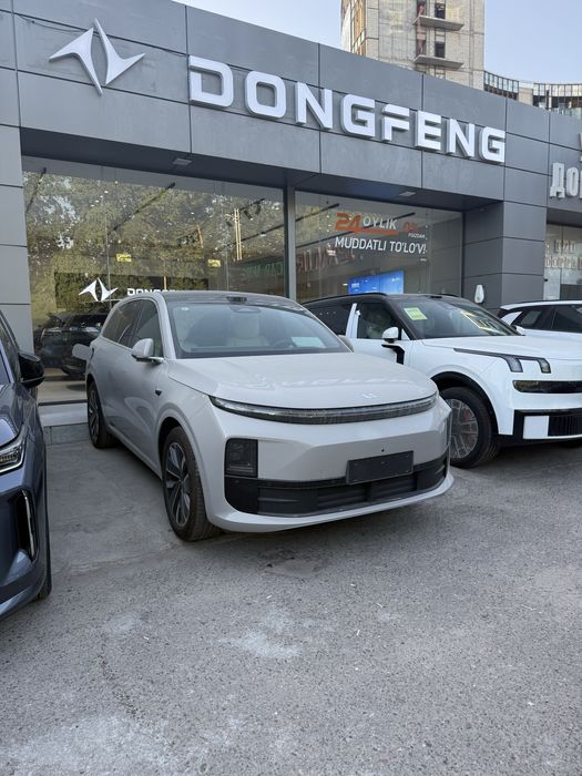 Lixiang L6 max narda gray