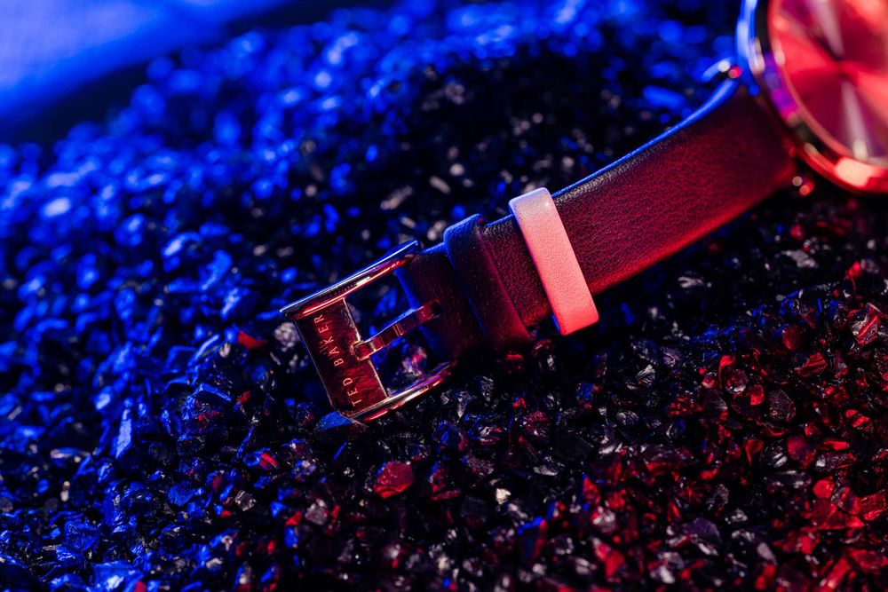 часовник Ted Baker