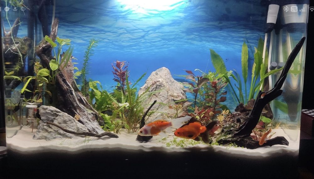 Аквариум RS-700EL – черен, пълен комплект + подаръци отлично състояние