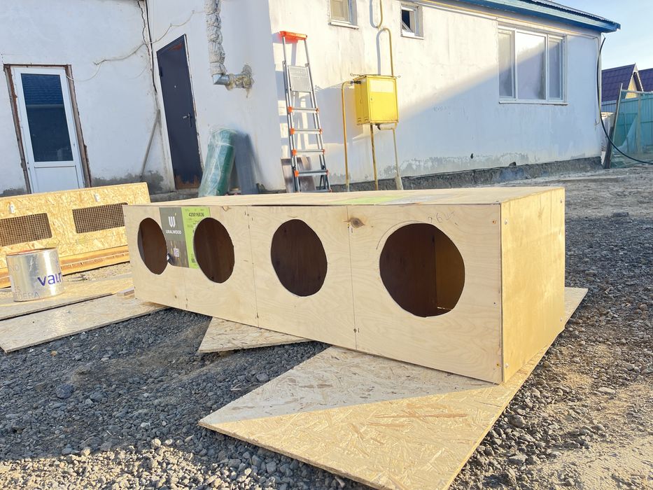 Брудер гниздо дамашный птица