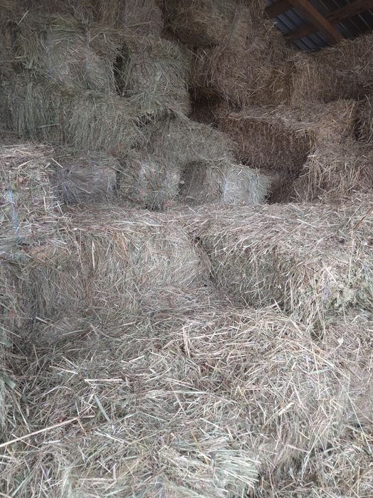 Vand baloti paie/fan