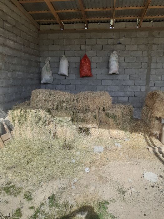 Шөп жоңышқа прес