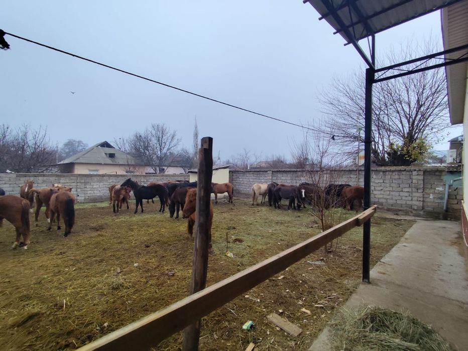 Кунан Баитал бар