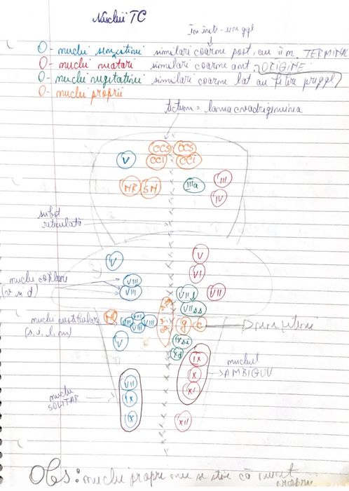 Vând materiale complete admitere Medicină UMFCD Biologie și Chimie