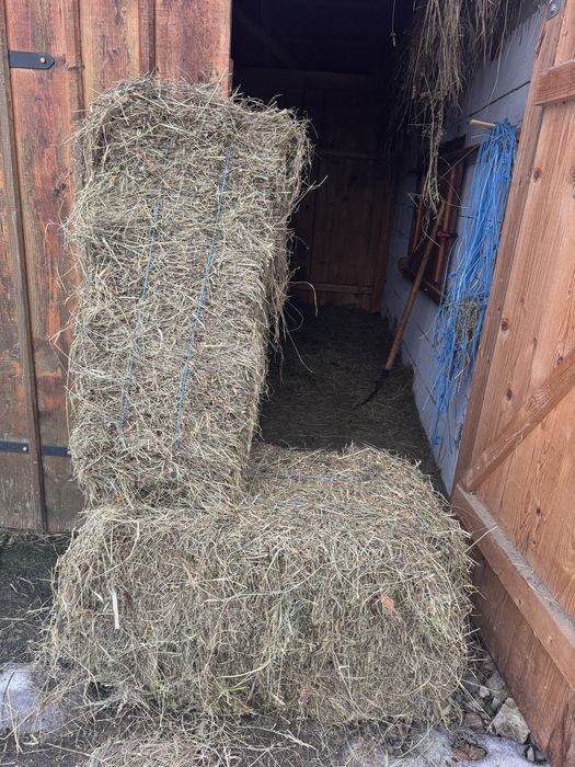 Baloti de  fan  de vanzare