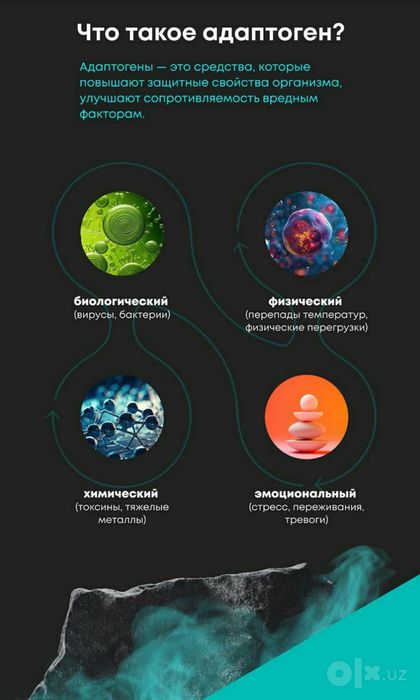 Природный иммунноактиватор BioDrone иммунитет кутарувчи махсулот
