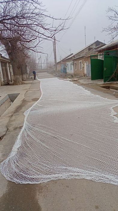 Балик бокиш учун торлар сотилади килоси 130 миндан