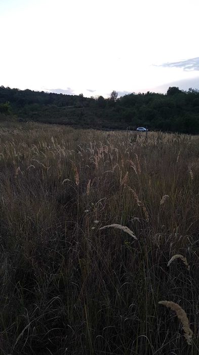 Teren intravilan/extravilan si paduri in Fartatesti, judetul Valcea