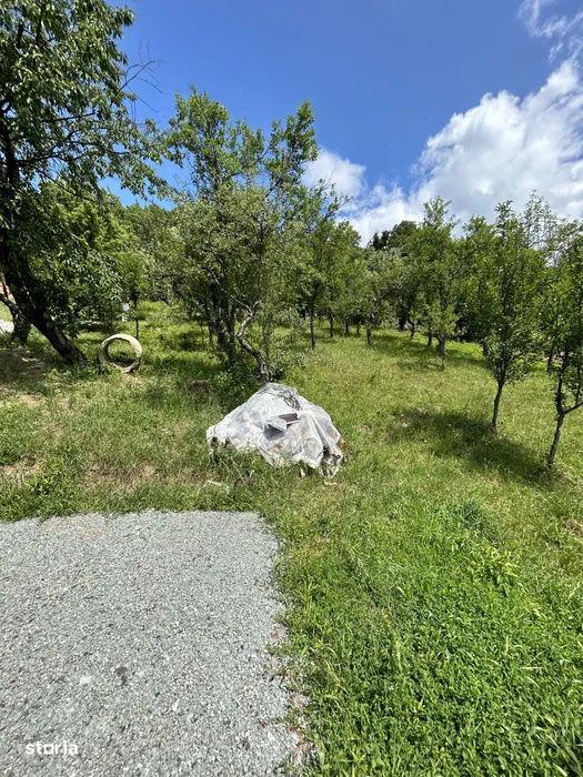 Parcela de 3.72 ari – zona Valea Rosie