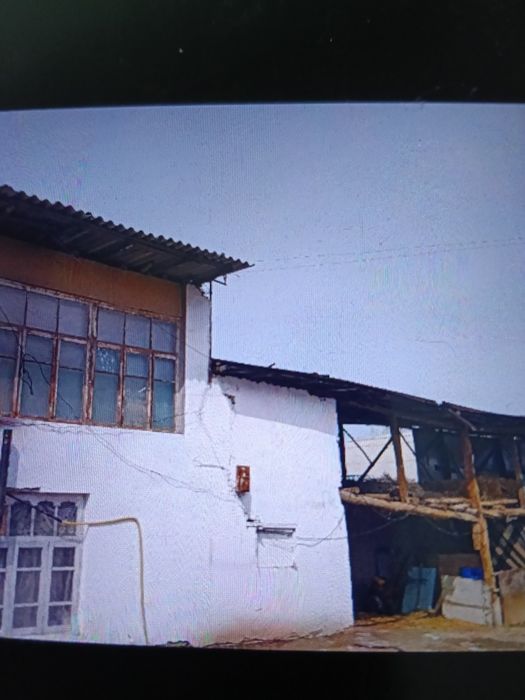 20 сутик,нарнини келишамтз