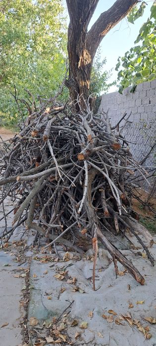 Дрова фруктовых деревьев , продам ,