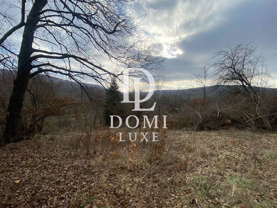 Продава се Парцел в с. Долище, Област Варна - 600 кв.м за 32 €/кв.м - Снимка #2