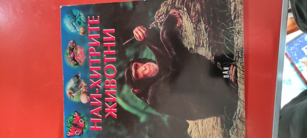 Детски енциклопедии