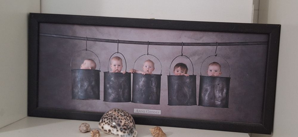 Фото картина Anne Geddes