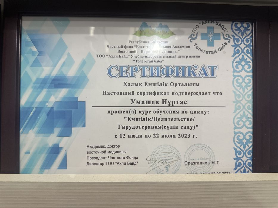 Хилжама шертпе мануалный терапия