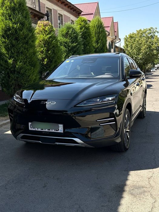 Byd champion smart full