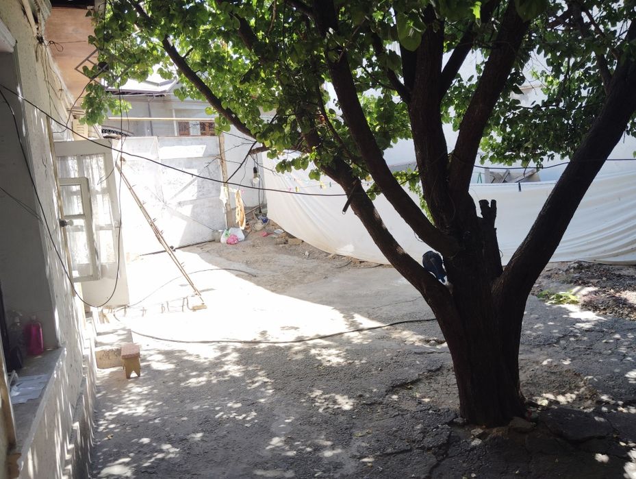 Uchtepa tumani Beshqayragoch mahallasi kota koʻchadan 50 metr kirganda