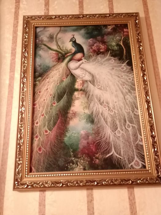 Продается алое и золотой ус