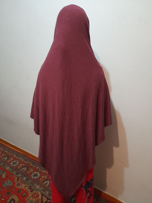 Химар ангорка Динара Арыстан