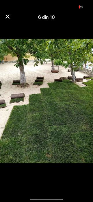 Vand Gazon Rulou - Verde Instant pentru Gradina Ta