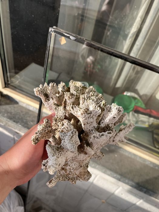 Продам декор, лава, замок, корабль