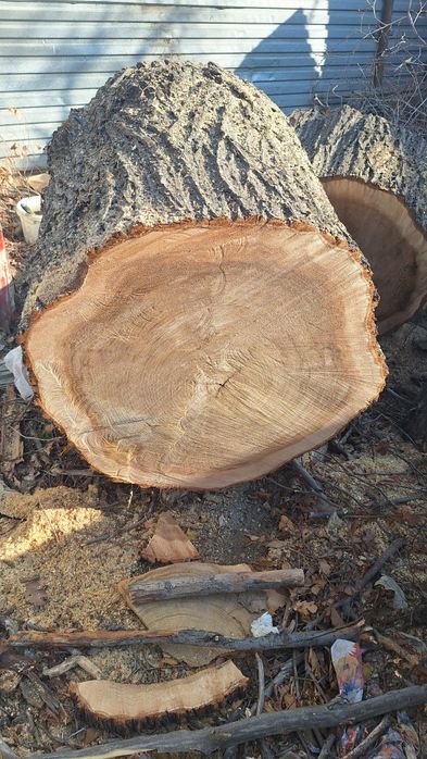 Чурбаки большие и разные