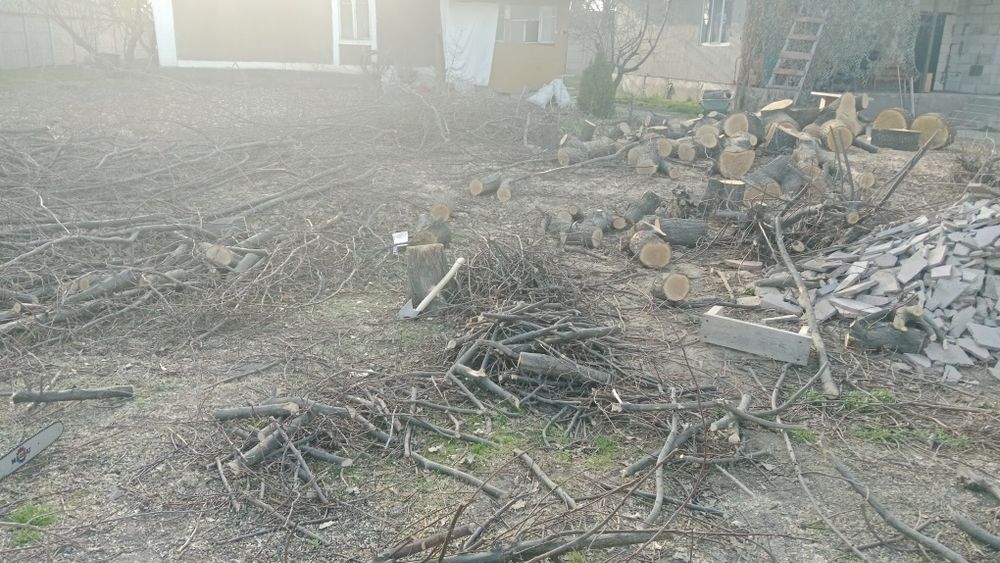 Продам дрова, Дуб.