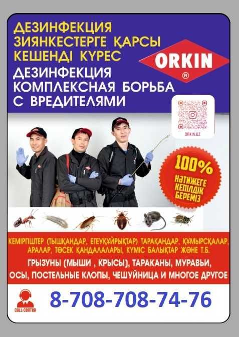 Дезинфекция дератизация и дезинсекция