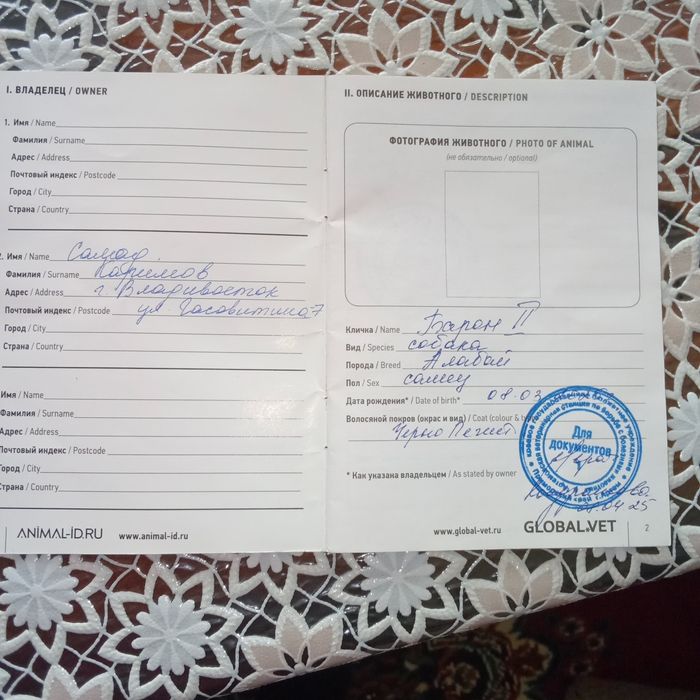 Алабай Россиядан келтирилган