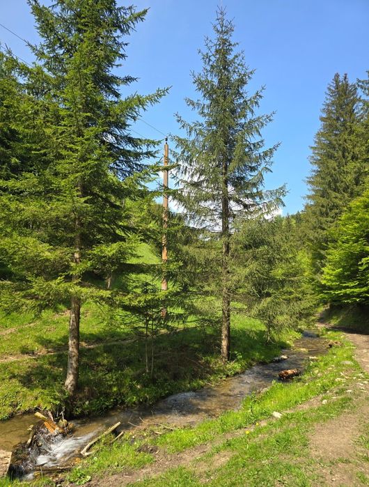 Teren 2,9 HA + RÂU + 3 Case Tradiționale | Ideal Turism | Moieciu Bran