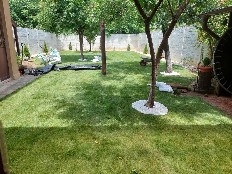 Gazon rulou și insamantare