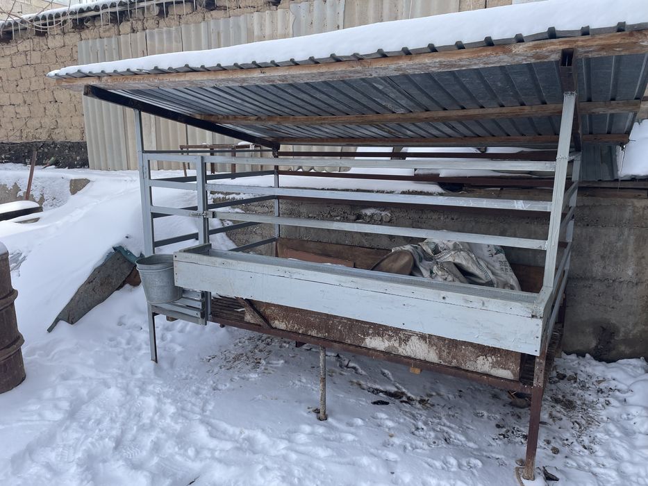 Кой кора Баран Кошкар