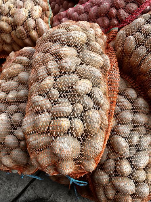 Cartofi albi si rosi de vanzare 1,80 albi 2 lei roși