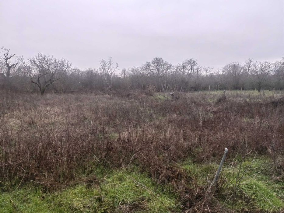 Продава се Парцел в Провадия - 2200 кв.м за 4 €/кв.м - Снимка #1