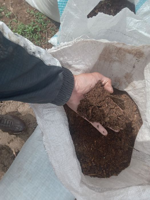 Перегной черназём