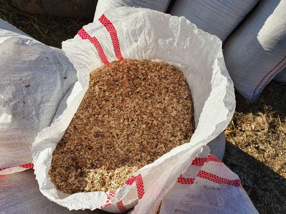 Vand rumegus de fag uscat / aschii tambre cires  afumat / afumatoare