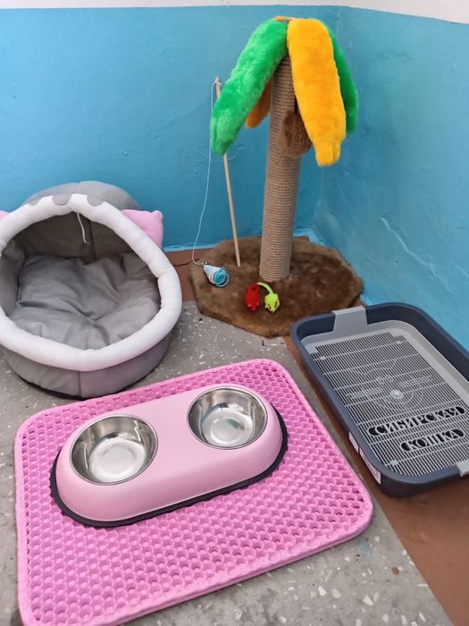 Продам аксессуары для котенка