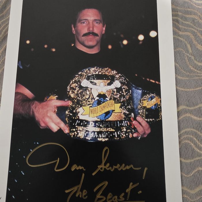 Dan Severn, MMA,