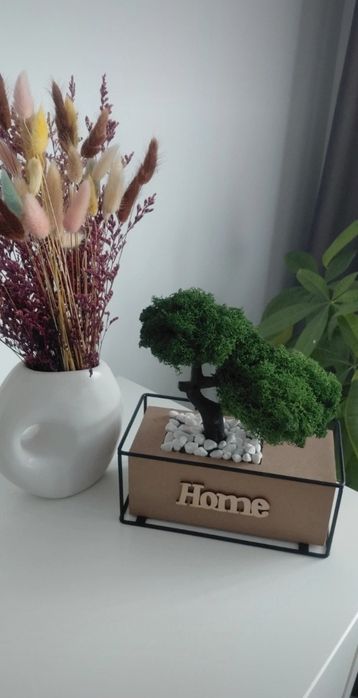 Bonsai din licheni