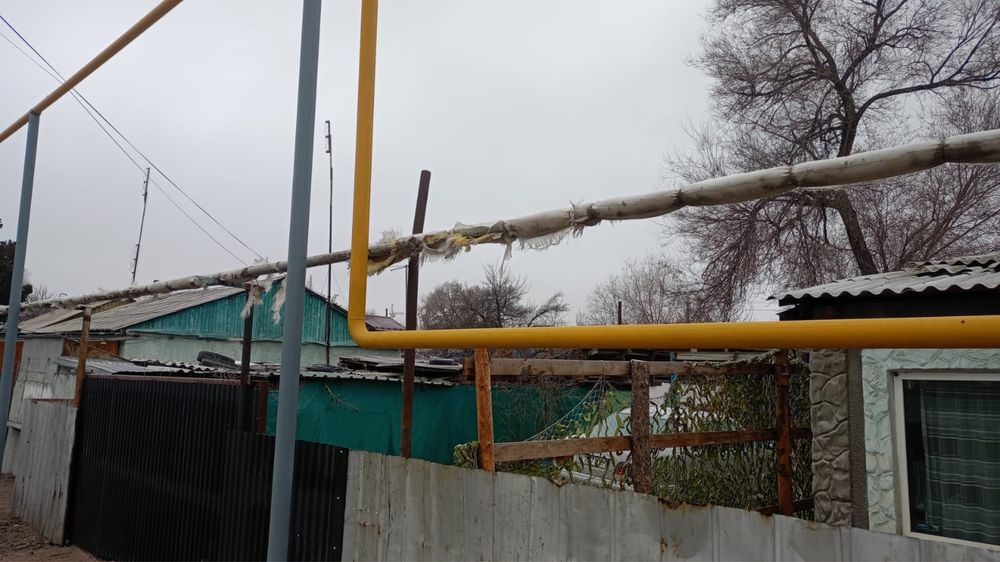 Сдам дом посуточно