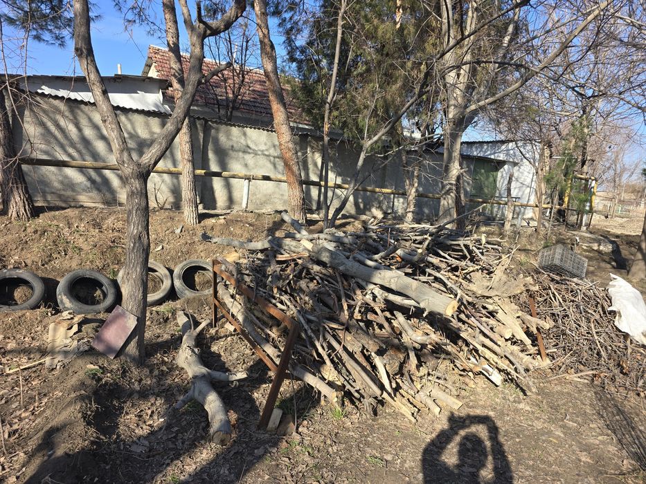 Meva Мевали дарахт Дрова дров утин otin utin Чирчик да