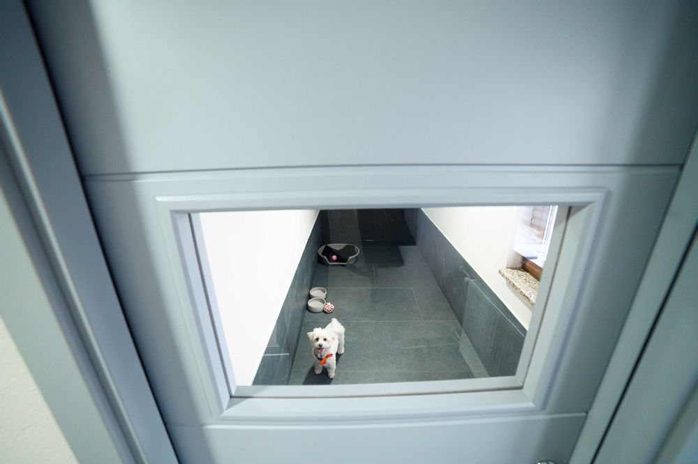 Hotel pentru animale/Pensiune canincă/ Cazare pentru caini