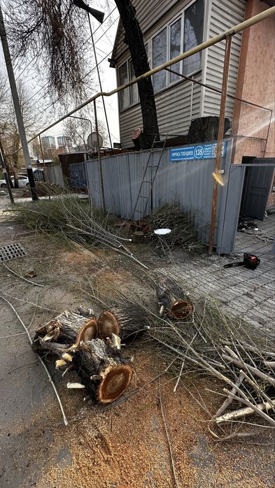 Дрова для печи бесплатно