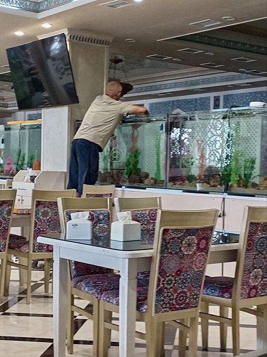 Аквариум заказга тахлайман