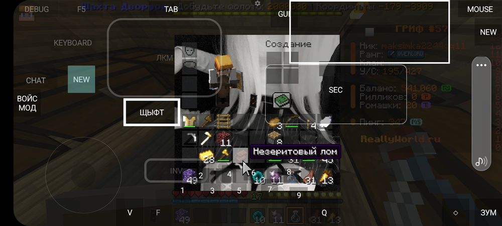Продам акк на Reallyworld