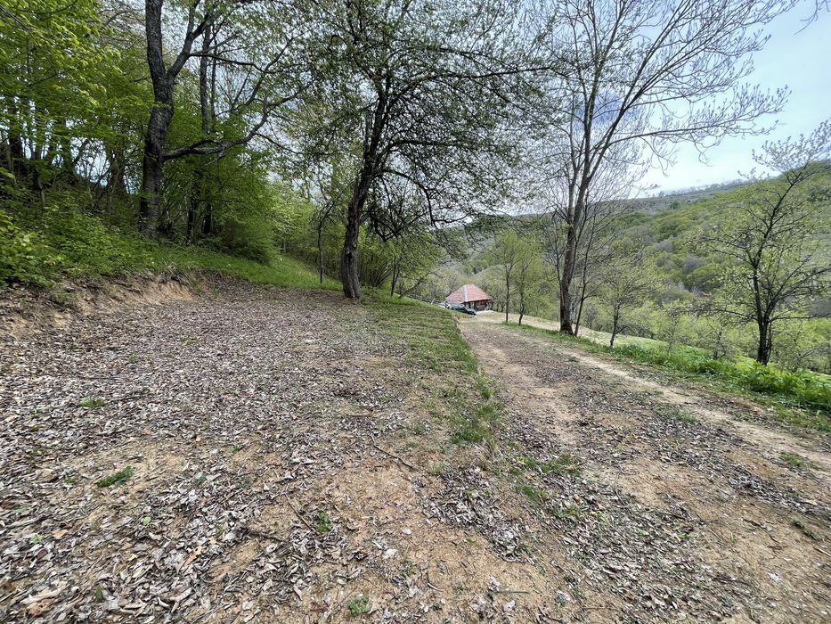 Casa ,livada si padure in com batrana jud hunedoara tinutul padurenilor