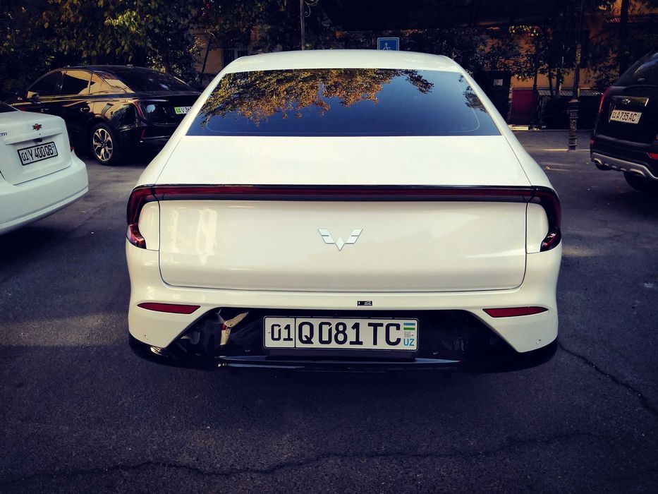 Vikupga: Wuling starlight