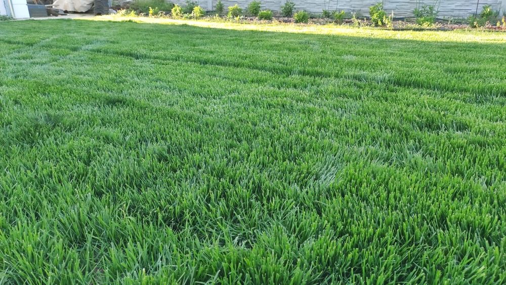 Топ Градинар - Поддръжка на Зелени Площи и Озеленяване!