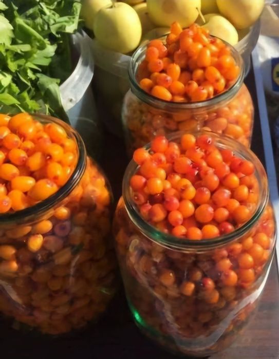Продам ягоду облепихи