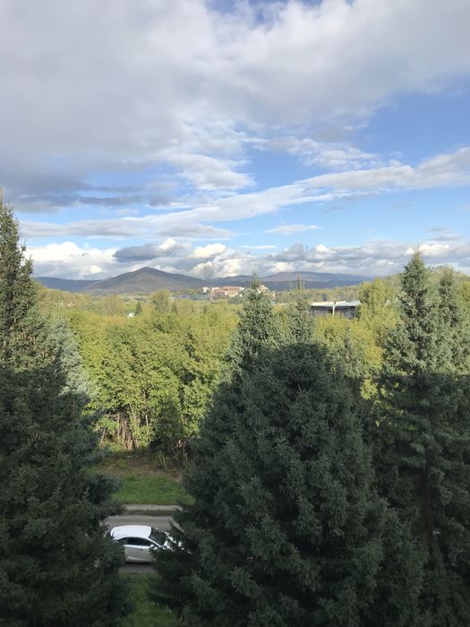 Продам однокомнатную квартиру. Торг